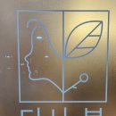 봄디자인 | [천안 자연눈썹 디자인] 다시,봄 뷰티 브로우 디자인 후기