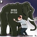 12 이미지