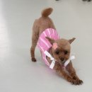 도기살롱 이미지