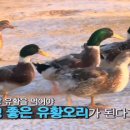 유황오리 이미지