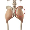 단전호흡 | 「PT로그-1회차」 코어 단전, 하체운동, 스쿼트로 윗둔근 자극, 윗몸일으키기는 어려워