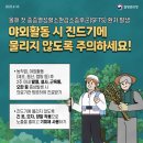 S클래스 동물병원 이미지