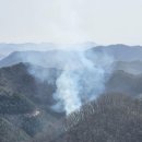 진산휴양림 이미지