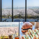 서재로(초) | 서울 여의도 벚꽃뷰 한강뷰 카페 강변서재 주차, 데이트 1순위