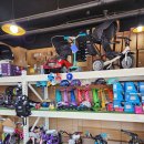 뉴아우토반카 이미지