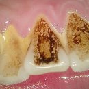 양평백상치과의원 이미지