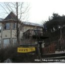 나무요일 네이버블로그
