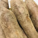 합심농장 이미지