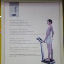 와이지스포츠센터(일산PT;EMS;킥복싱;무에타이;스쿼시;헬스) | 일산 스쿼시 주엽YG스포츠센터 다이어트 만점 운동효과
