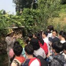 인천당산초 이미지