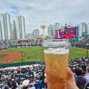 신동건 | 사직야구장 불꽃야구vs롯데 2군 1루내야상단 134블럭 11열 10번 시야는 좋지만 경기력은.. 좀..