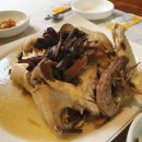 송이 초심정 이미지