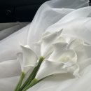 대흘보건진료소 이미지