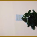 리더스히어링보청기인천점 이미지