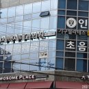 연세백세내과의원 티스토리