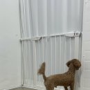 또또살롱 이미지