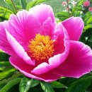 대흥식육숯불생고기 이미지