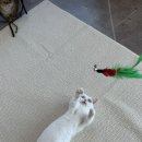 그루밍라운지 이미지