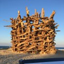 달빛호수 이미지