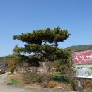 오봉산한옥민박 | 가을 구례 18(곡전재,운조루,수락폭포)