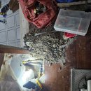 하신번영로 | 대한누수설비 의뢰 후기, 하단동 아파트 냉수 누수 이야기