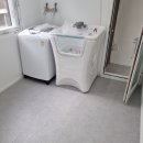 댕댕큘럼 이미지