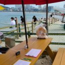 주식회사 요트탈래 이미지