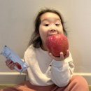 굿파더농원