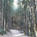 강호민박 이미지