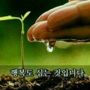 포톤테라피
