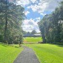 타이거골프클럽 | 시드니 골프 페넌힐 골프클럽 (Pennant Hills Golf Club) - 라운딩