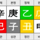 347. 동일 사주인데 직업이 다른 이유는 무엇일까 이미지
