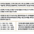 힐링펫 네이버블로그