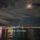 내일여행 - 금정구 부산대학로63번길 2 | 내일로 부산여행 후기! 자갈치시장 참돔회와 부산항 야경 코스 내일로 패스로 떠난 부산 1박2일 여행...