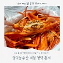 영덕농수산 수율 좋은 파지 홍게로 찜, 마라탕, 홍게라면 먹방 후기