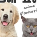 멍해묘해 이미지