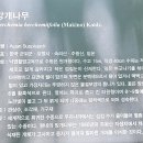 홍릉숲 돌고 천장산 넘어 장위동까지 이미지