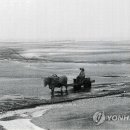 바하음악학원 이미지
