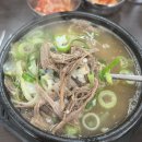 모림양과 이미지