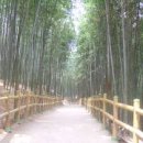 삼향동초등학교 이미지