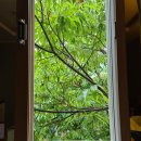 보매기길 이미지