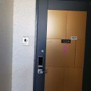 도담동_늘봄초등학교 이미지