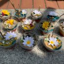 어룡어린이집 이미지