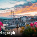 Sing Green Golf 이미지