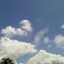 마음에고향 이미지