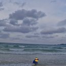 쟈스민모텔 | 인도네시아 빈탄 여행 20/홈 라구나 빈탄 리조트 마지막 밤/로커스 카페(Locus Café) 저녁식사 후기