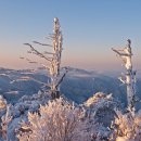 1.03일 덕유산 100대명산4위 많은 눈 때문에 겨울산행 최고의 인기를 모으는 곳이다 상고대와 눈꽃산행 겨울철 안전산행 도우미 아이젠 스패치 랜턴 준비 이미지