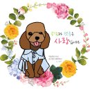 플란다스 펜션 이미지