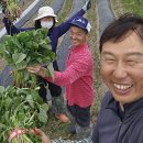춘덕 이미지