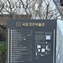 신라아파트(37543) (옥외1) | [경주여행]국립경주박물관 1탄/관람 꿀팁/총 소요시간/옥외전시/신라미술관/경주 우정여행